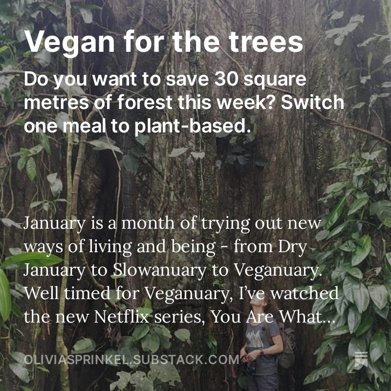 Olivia Sprinkel (@sustainable_) on Twitter photo Why I’m vegan for the trees. oliviasprinkel.substack.com/p/vegan-for-th… <a href="/Plant_Treaty/">Plant Based Treaty</a> #veganuary #vegan #plantbased Why I’m vegan for the trees. oliviasprinkel.substack.com/p/vegan-for-th… <a href="/Plant_Treaty/">Plant Based Treaty</a> #veganuary #vegan #plantbased