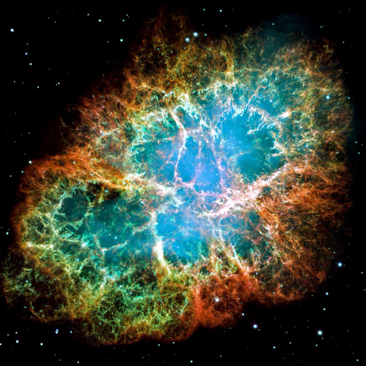 Window on The Sky tweet media