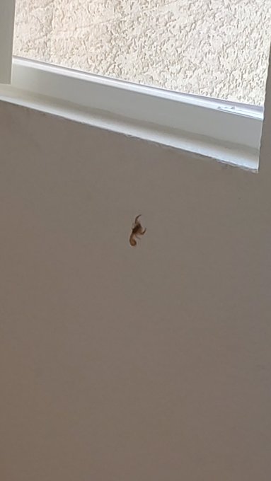 I'm moving out https://t.co/8gapYOYv7l