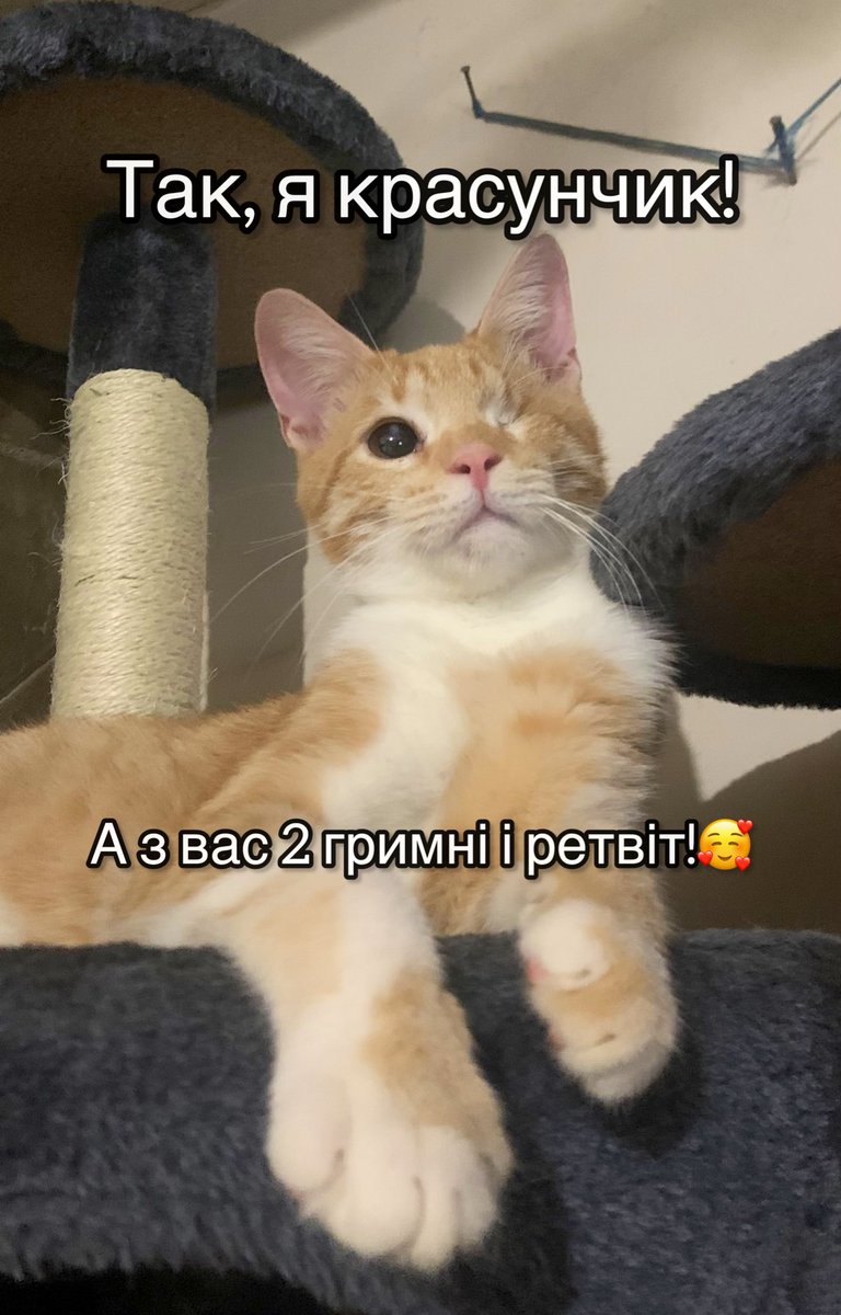 🫡