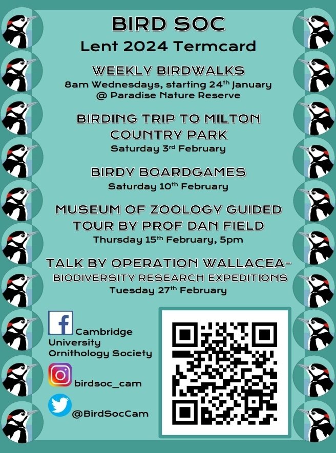 Welcome back everyone! We've got lots of birdy shenanigans lined up for this term. Don't forget that birdwalks start again next Wednesday (24th Jan). Hope to see you there!