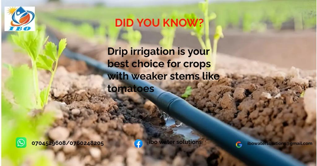 WaterIbo38748's tweet image. 