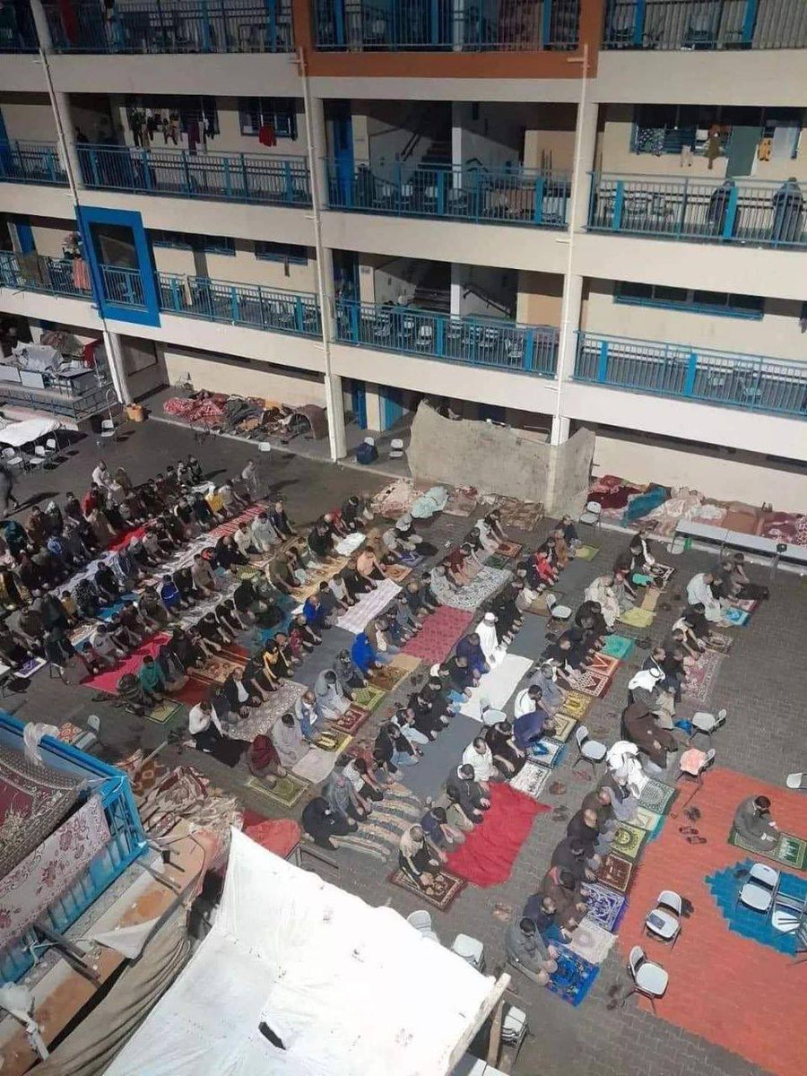tevfik_hams's tweet photo. Yapılan bomba yağmuruna rağmen sığındıkları okulda namazlarını kılan Gazzeliler..

Bu insanları nasıl yenecekler?! https://t.co/PGfWrw5rDp