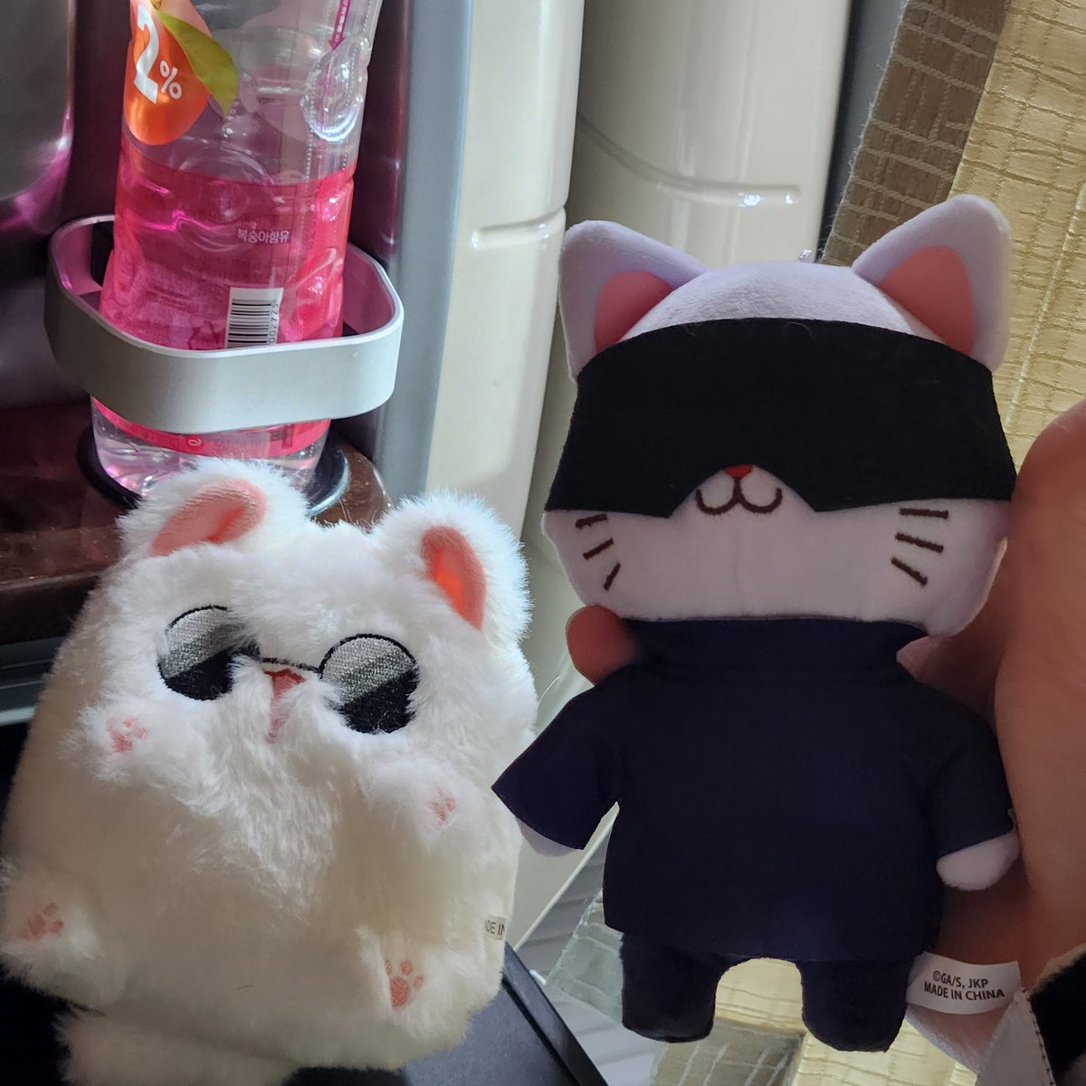 고죠냥 고죠네코누이와 함께 홍대 콜라보카페 3차 방문 예정입니다 ~~