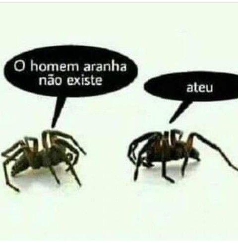 Terror do Cotidiano (@terrorcotidiano) on Twitter photo 