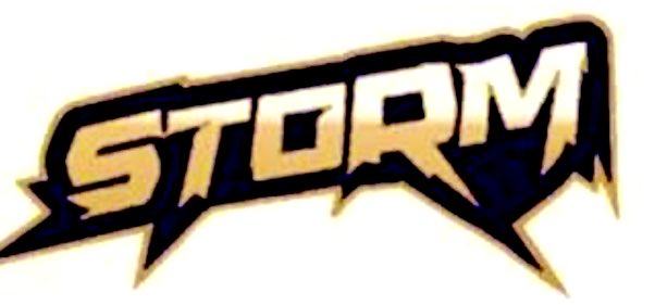 Alexgostupid1's tweet photo. Blessed to receive an offer from GEORGIA STORM PREP ACADEMY @WStormJohnson1 @Coach_Pfiester @LongCoFootball https://t.co/jsMnziluyj