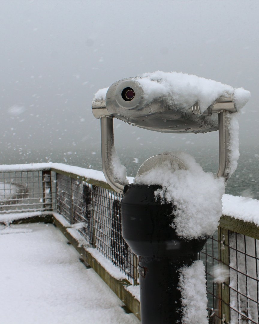 Snowy scenes from Semiahmoo Bay! ❄️