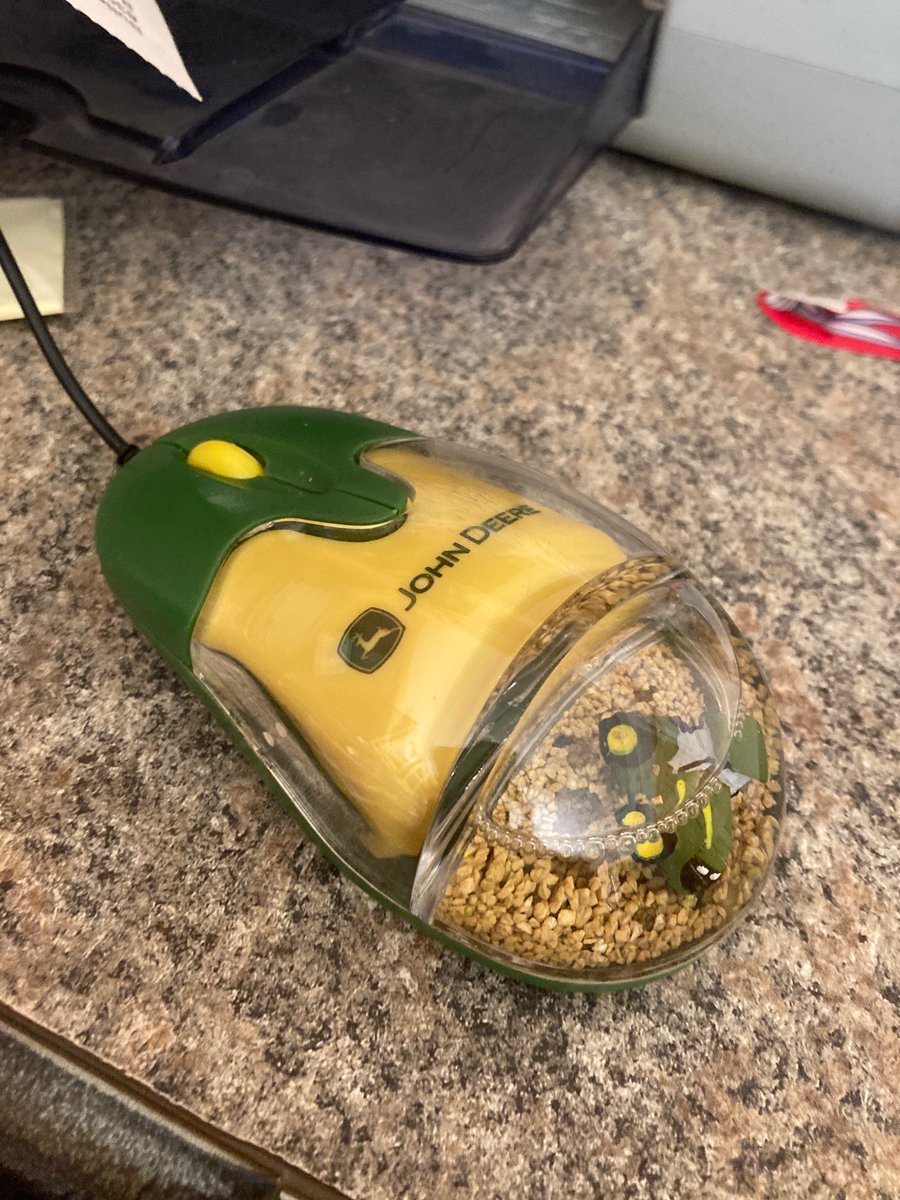 A man drank water from a John Deere mouse. This is how his organs shut down.