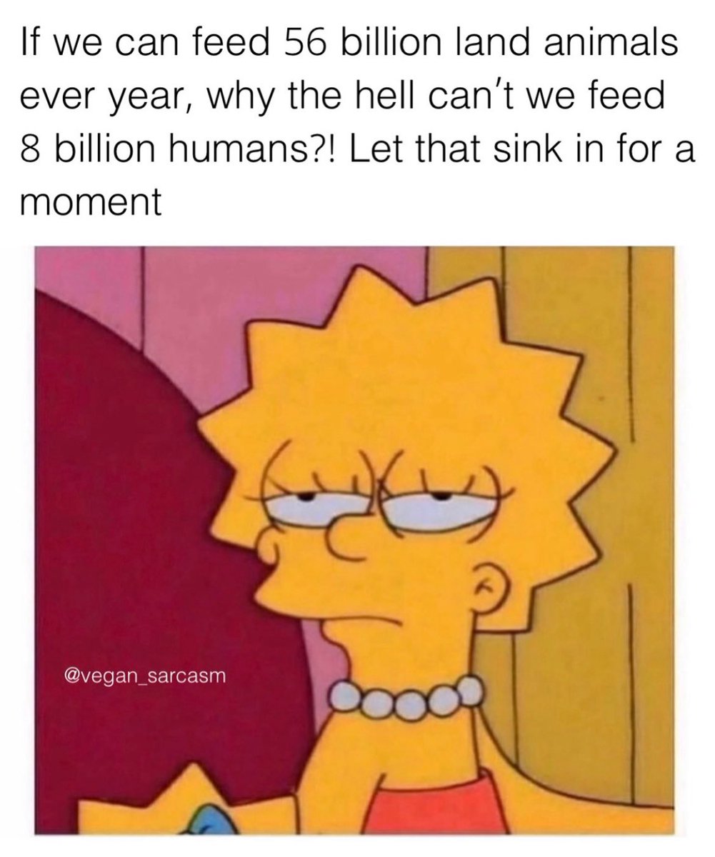 vegansarcasm tweet picture