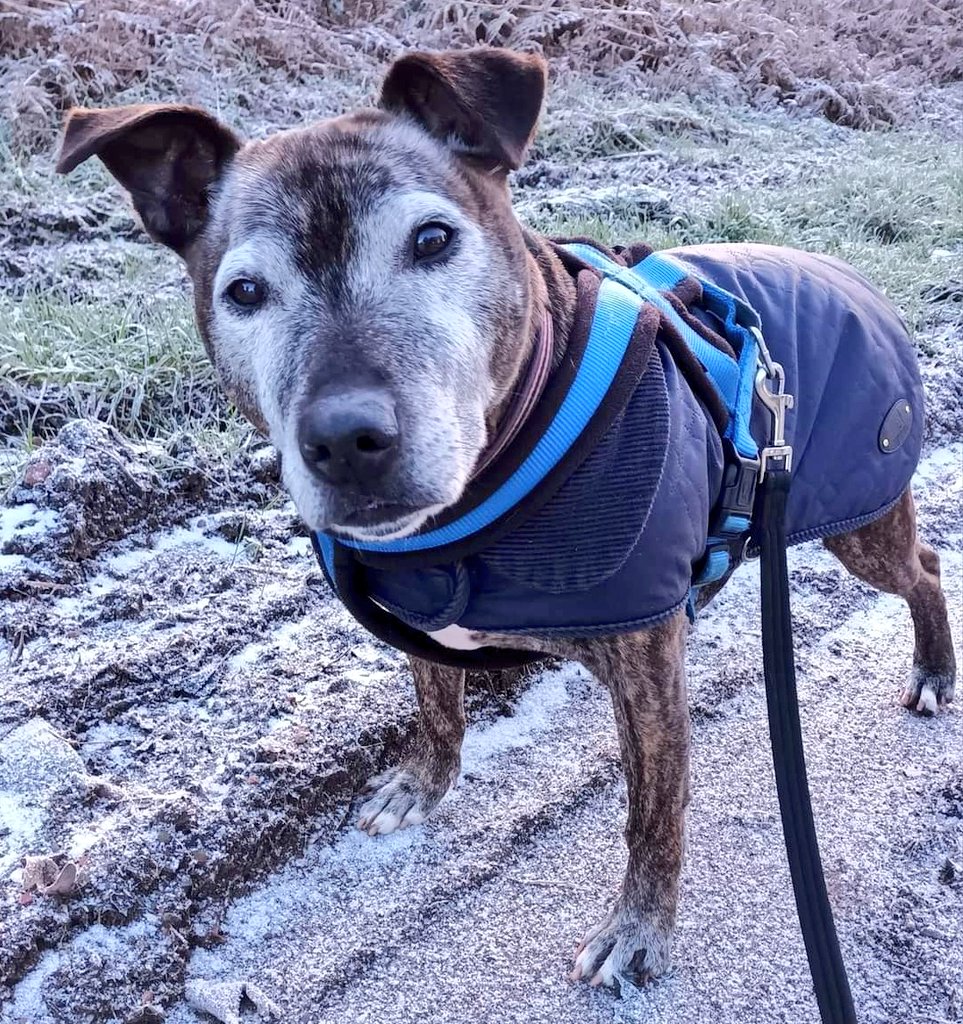 SeniorStaffy tweet picture