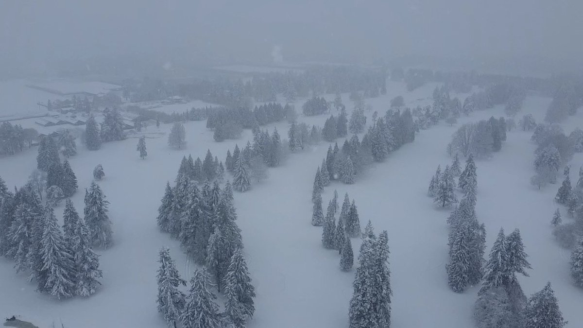 Pitt Meadows Golf Club tweet media