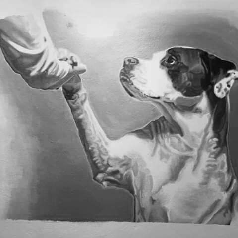 rogeliomtz75's tweet photo. Quién tiene un perro en su vida... Tiene un ÁNGEL.. 🐾♥️ https://t.co/wXOe5FUICT