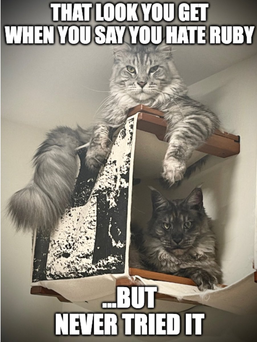 geneangelo's tweet image. Truth.
#Ruby #RubyLang #RubyOnRails #RubyDevelopers #Rails #RoR #RailsDeveloper #DevLife #Coding #Programming #Developer #WebDevelopment #Java