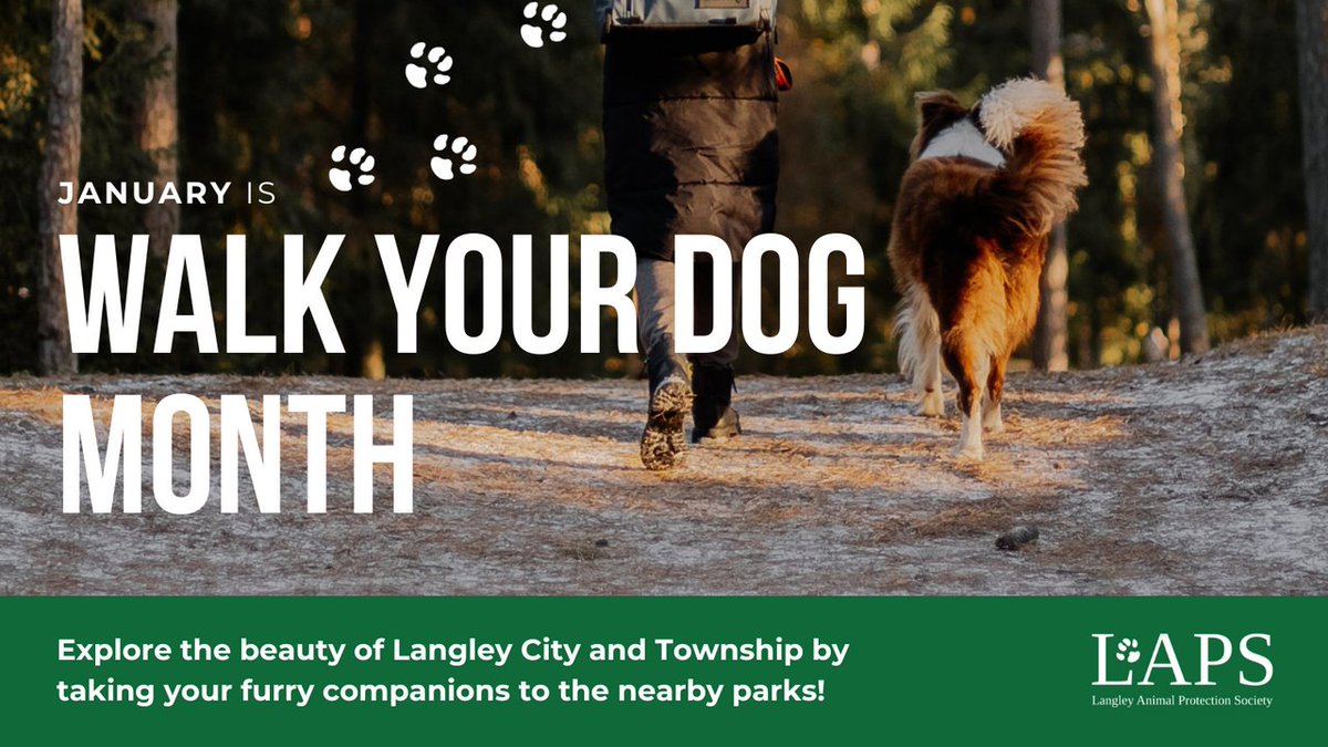 Langley Animal Protection Society tweet media