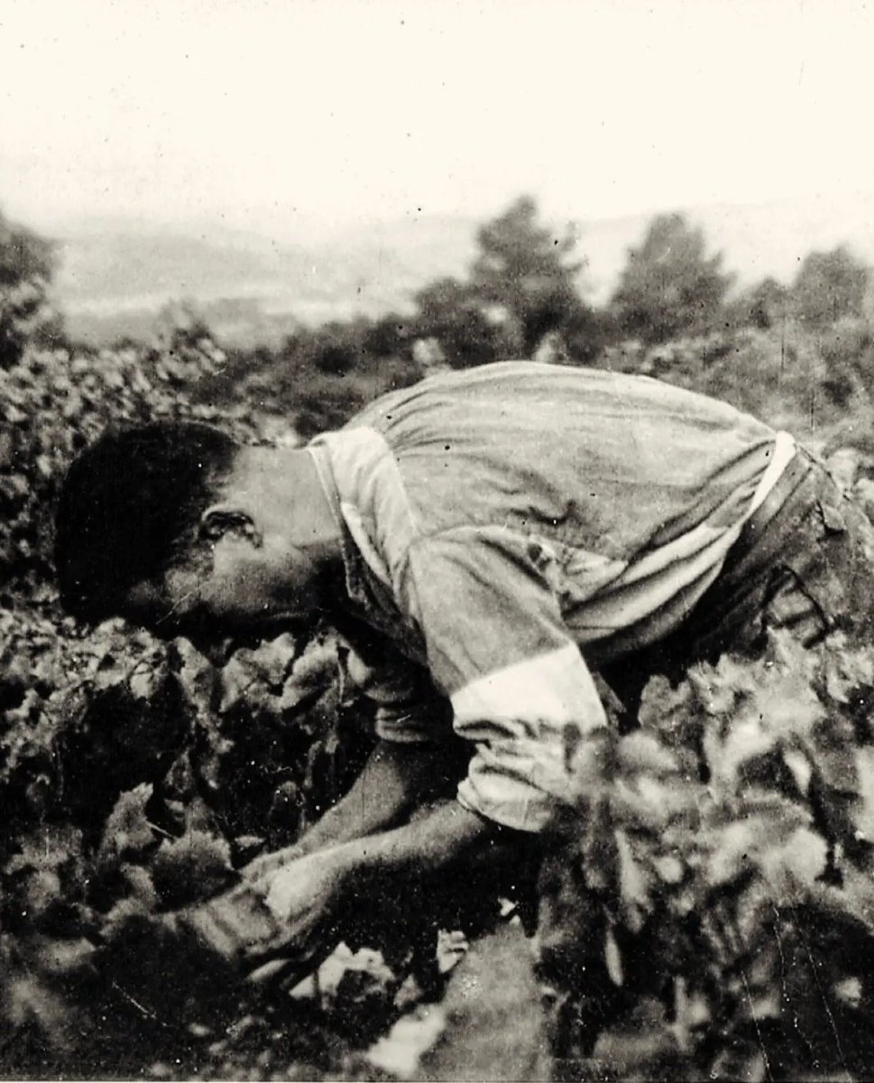 cep tina vi tweet media