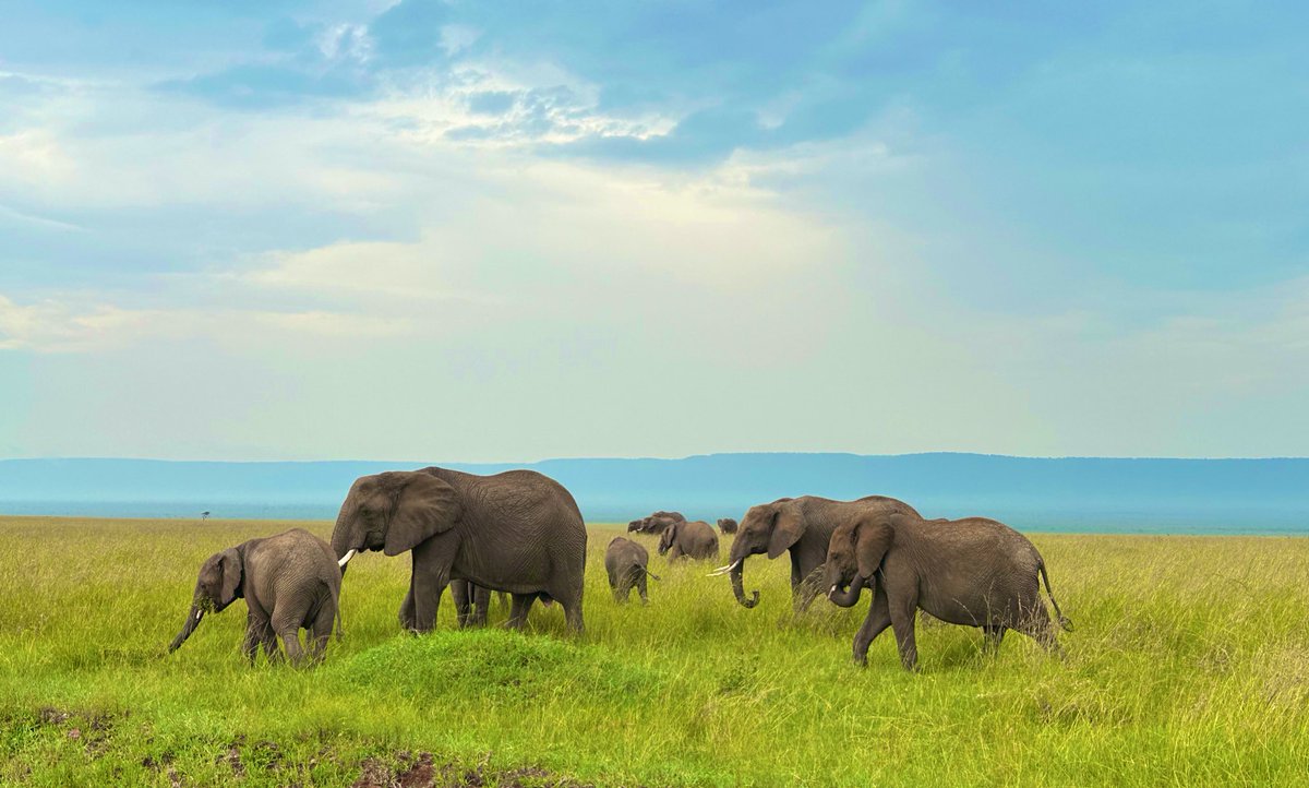 skyangelaus's tweet photo. Amazing Africa #Africa #AdventureAwaits #Enjoythejourney https://t.co/sFoh4VngUZ