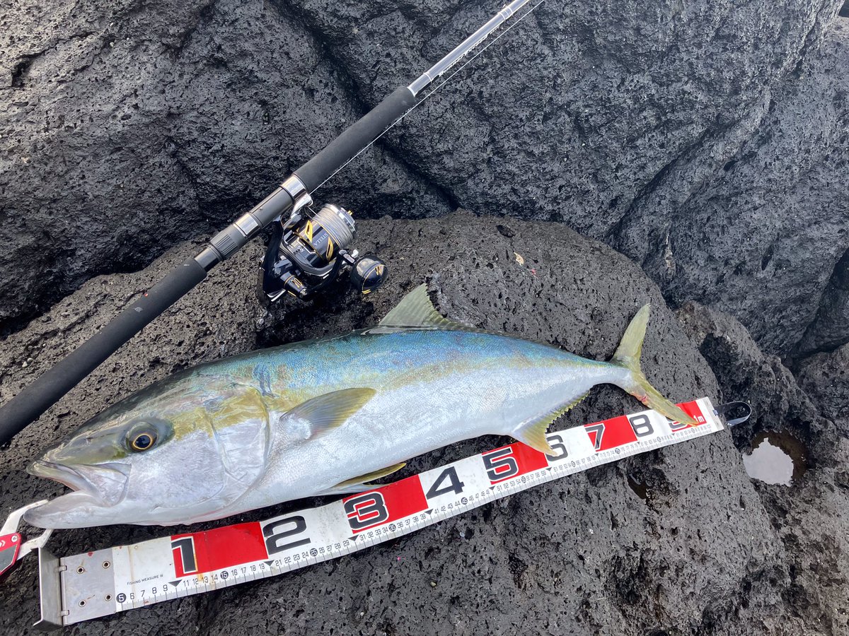 hishing_14's tweet image. 出勤前にいつもの地磯

ヒラマサ❗️
95㌢　5.8㌔

サワラ❗️
85㌢　3.3㌔

#RunnerExceed
#95TC
#ステラSW8000HG