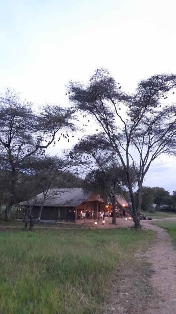 SafariEyes's tweet photo. Tanzania destination experts with safari Eyes#safarieyes #safarieyes #Tanzaniatrip #safarieyestours https://t.co/Tz4b9n2CFO