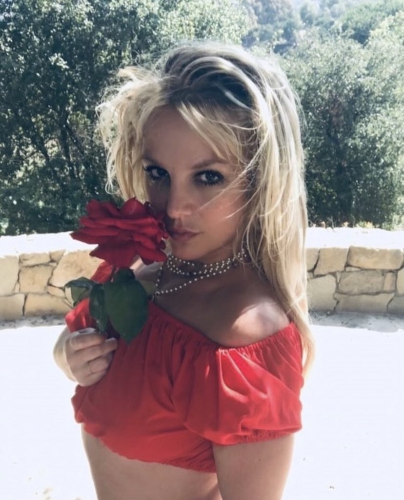 NJayNC's tweet photo. What is everyone thinking what Britney has been up to since she deleted her instagram?  

#BritneySpears #britneyisback https://t.co/92fzWx6KVb