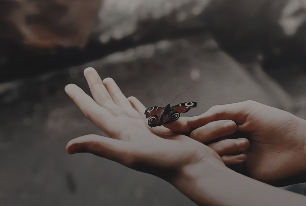 𝐑𝐨𝐬𝐞𝐛𝐮𝐝 𝐖𝐞𝐚𝐬𝐥𝐞𝐲. (@lettheskyfvll) on Twitter photo 