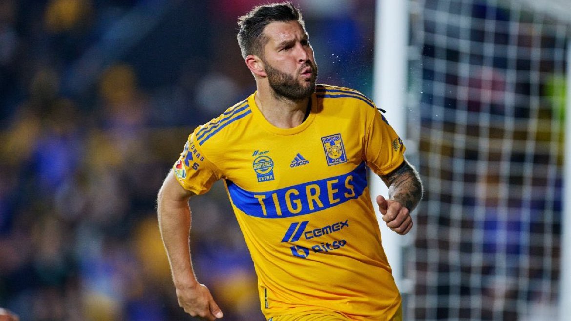 XaviSol_'s tweet photo. Desde la llegada de André Pierre 
Gignac al fútbol mexicano, ligas:

🏆🏆🏆🏆🏆 Tigres
🏆🏆 Pachuca
🏆🏆 Atlas
🏆🏆 América 
🏆 Chivas
🏆 Santos
🏆 Rayados
🏆 León
🏆 Cruz Azul

Esta es la respuesta a 
muchas de sus preguntas. https://t.co/dcDnRPQdHg