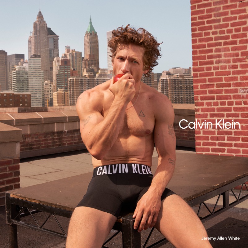 CalvinKlein__JP's tweet photo. 俳優のJeremy Allen White／ジェレミー・アレン・ホワイトが登場する2024年春のキャンペーン。
