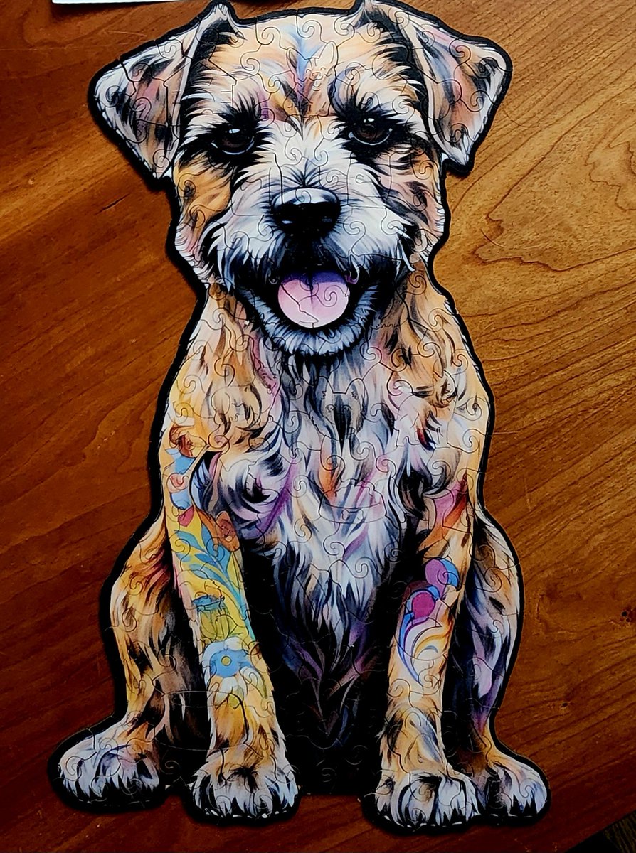 Ordinarily, hoo is no slouch when it comes to puzzles. She says this is the hardest 150 piece puzzle she's ever done!
#BTposse
#TophTastic!
#BorderTerrier
#BorderTerriers
