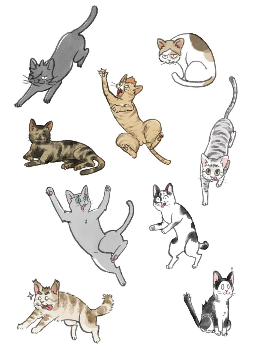 ねこ♡ページ 楽天市場】爪とぎポール 猫用 ケージ取り付け 長さ48cm 直径8cm 工具