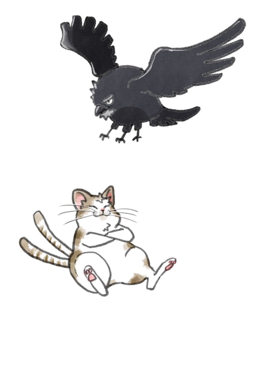 ねこじたsimaco on X