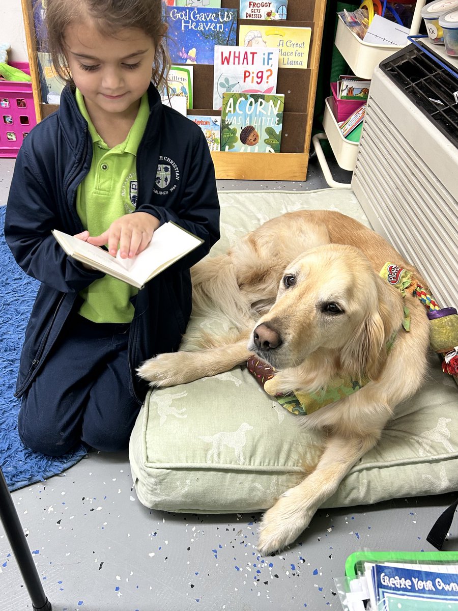 bevelandteach's tweet photo. Milly loves when her friends read to her!
#kreadingisfun #ACS https://t.co/ycPWZNAx00