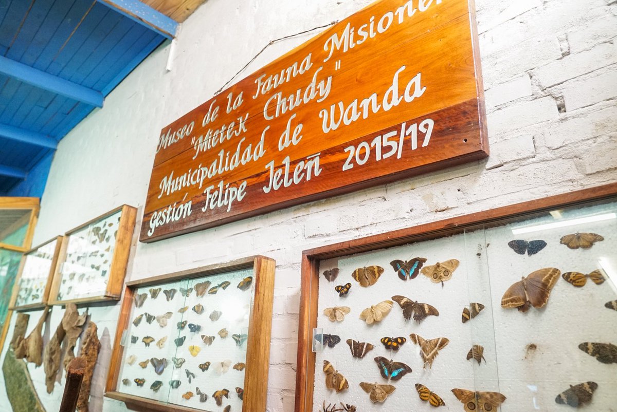 arruajm's tweet photo. Gracias @irominafaccio por recibirnos junto al equipo de @MisionesTurismo

Wanda tiene atractivos interesantes para desarrollar y así acompañar a sus reconocidas minas de piedras preciosas. 

Con el municipio y el sector privado, generaremos acciones para potenciar el destino. https://t.co/Tz8UrBF4jM