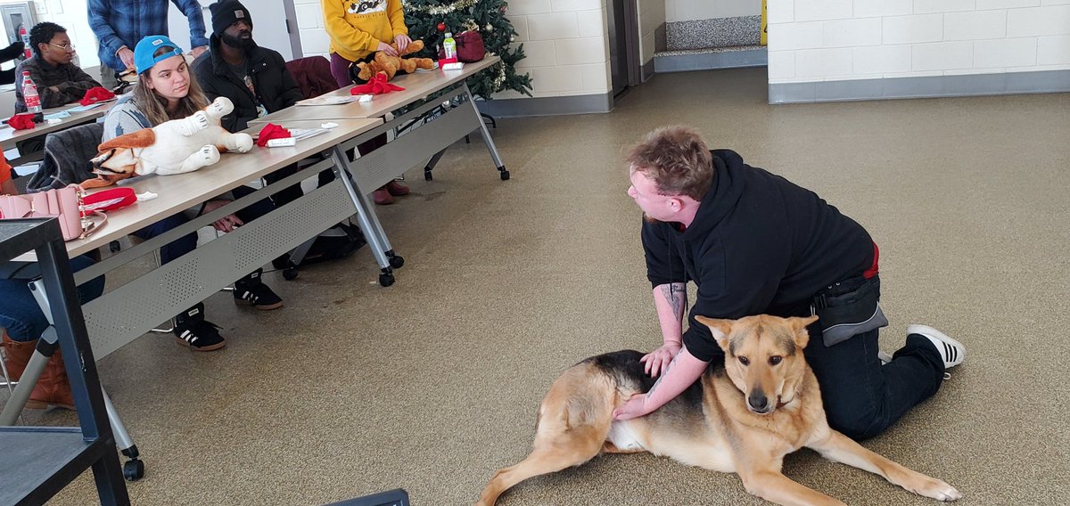 Canine To Five tweet media