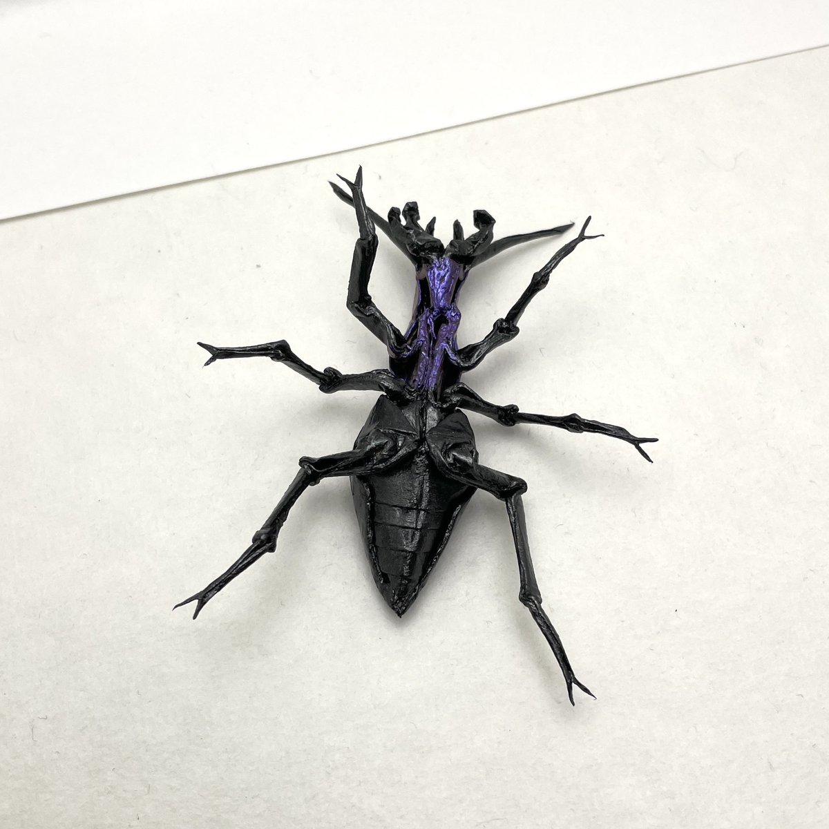 634さんのマイマイカブリ。 