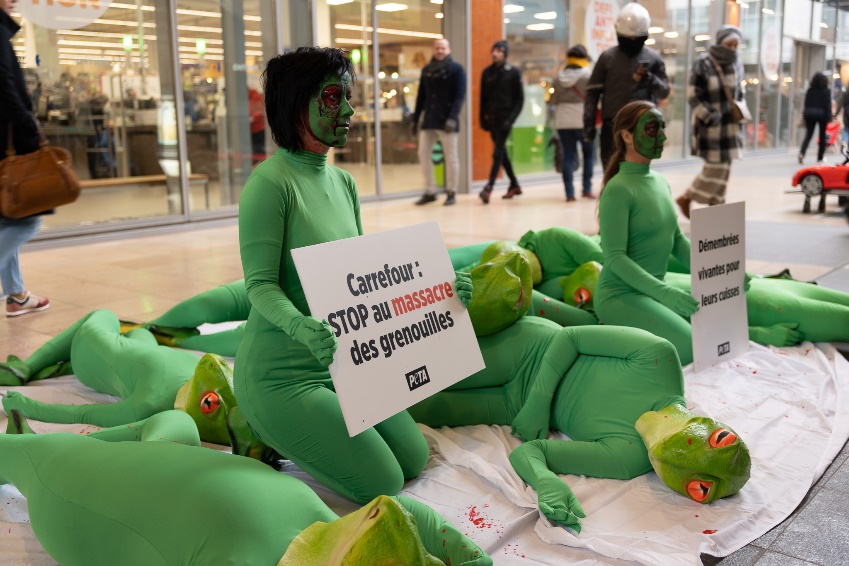 PETA Asia exposed hideous cruelty for frogs' legs.  French demos in progress.