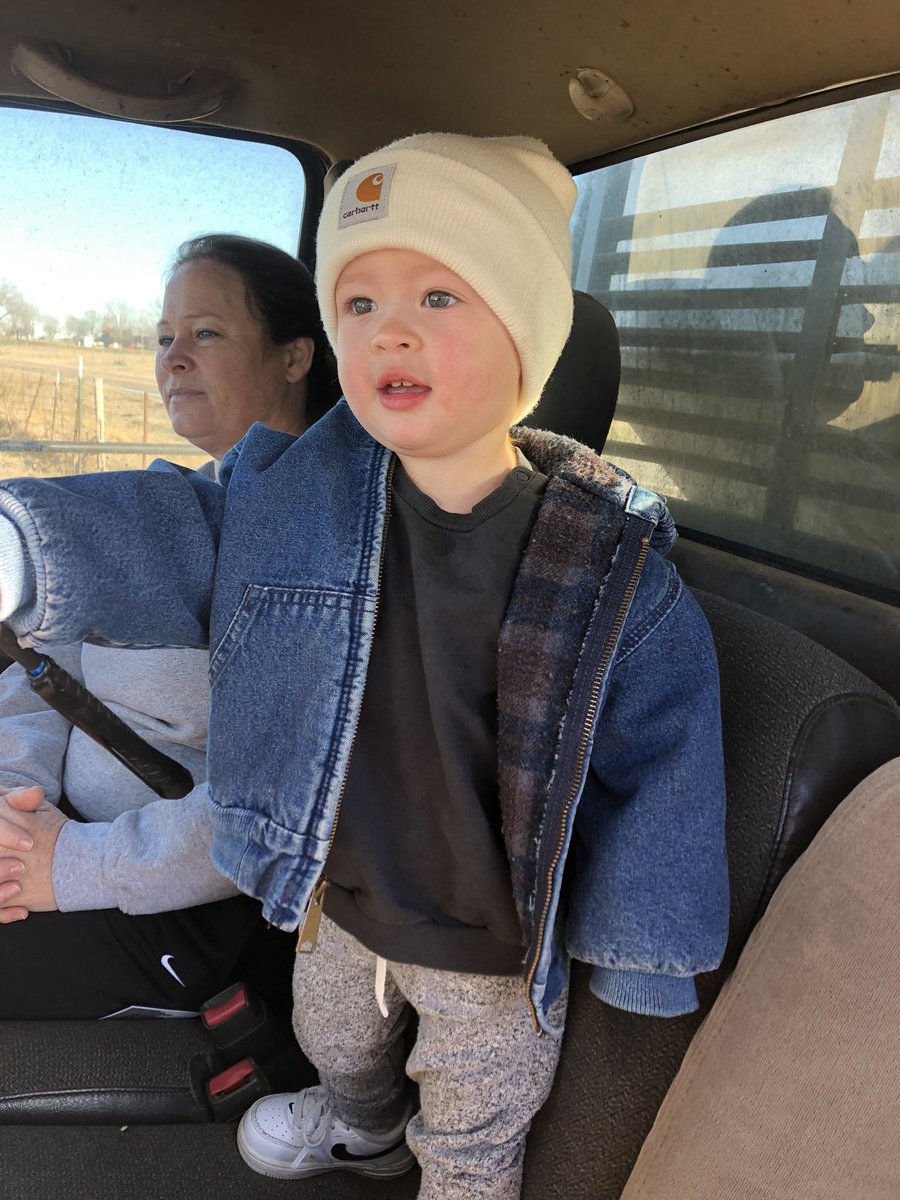 GordonCattle's tweet photo. Had my best hand helping me feed this morning.  Colbie Jo absolutely loves to feed the calves.  If i could only get the other one to get out https://t.co/u5E12UTmE1