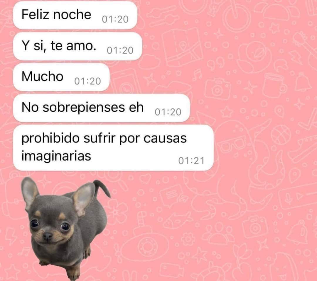 No esperen menos
