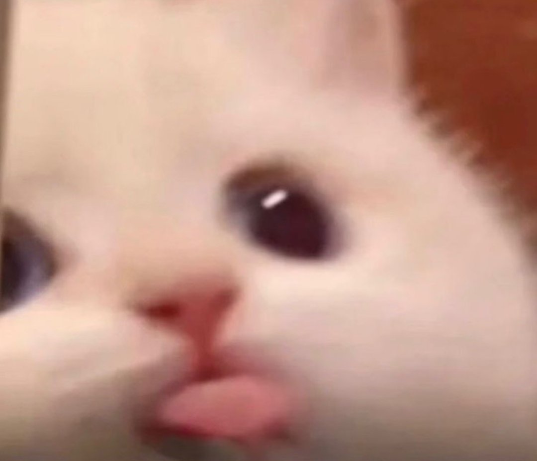 Reviewer 2: are you stupid? 

Me: