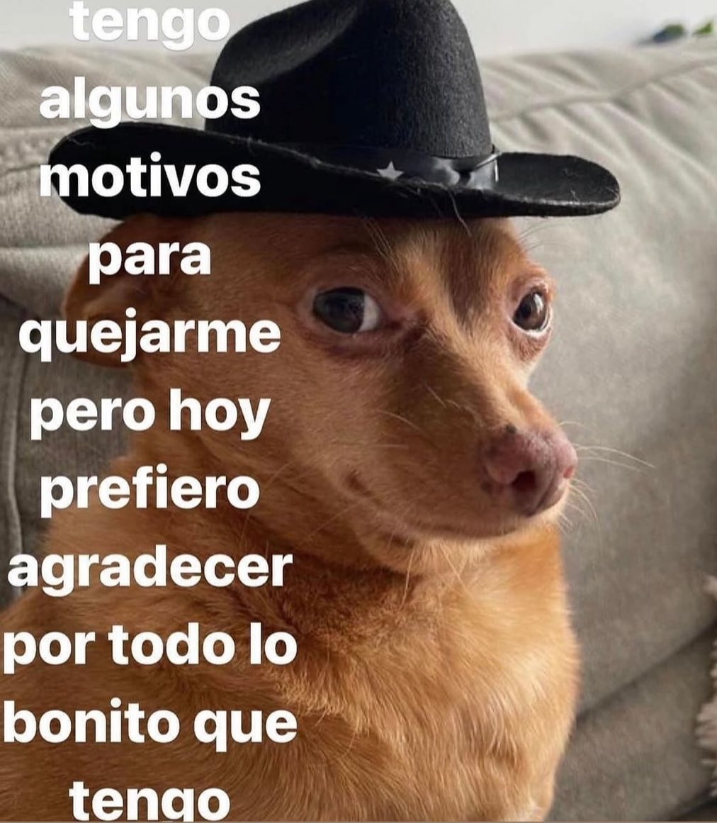 esa es la actitud