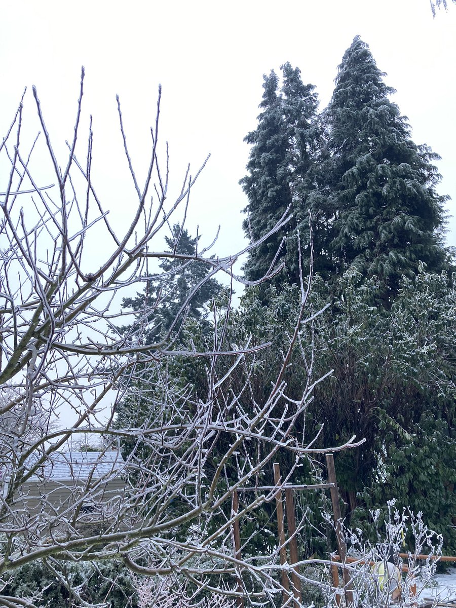 AWTpanda's tweet photo. Again…I will be lacking on my sending. Freezing rain = no PoGo. 🥶 https://t.co/4zTZ5HzdCo