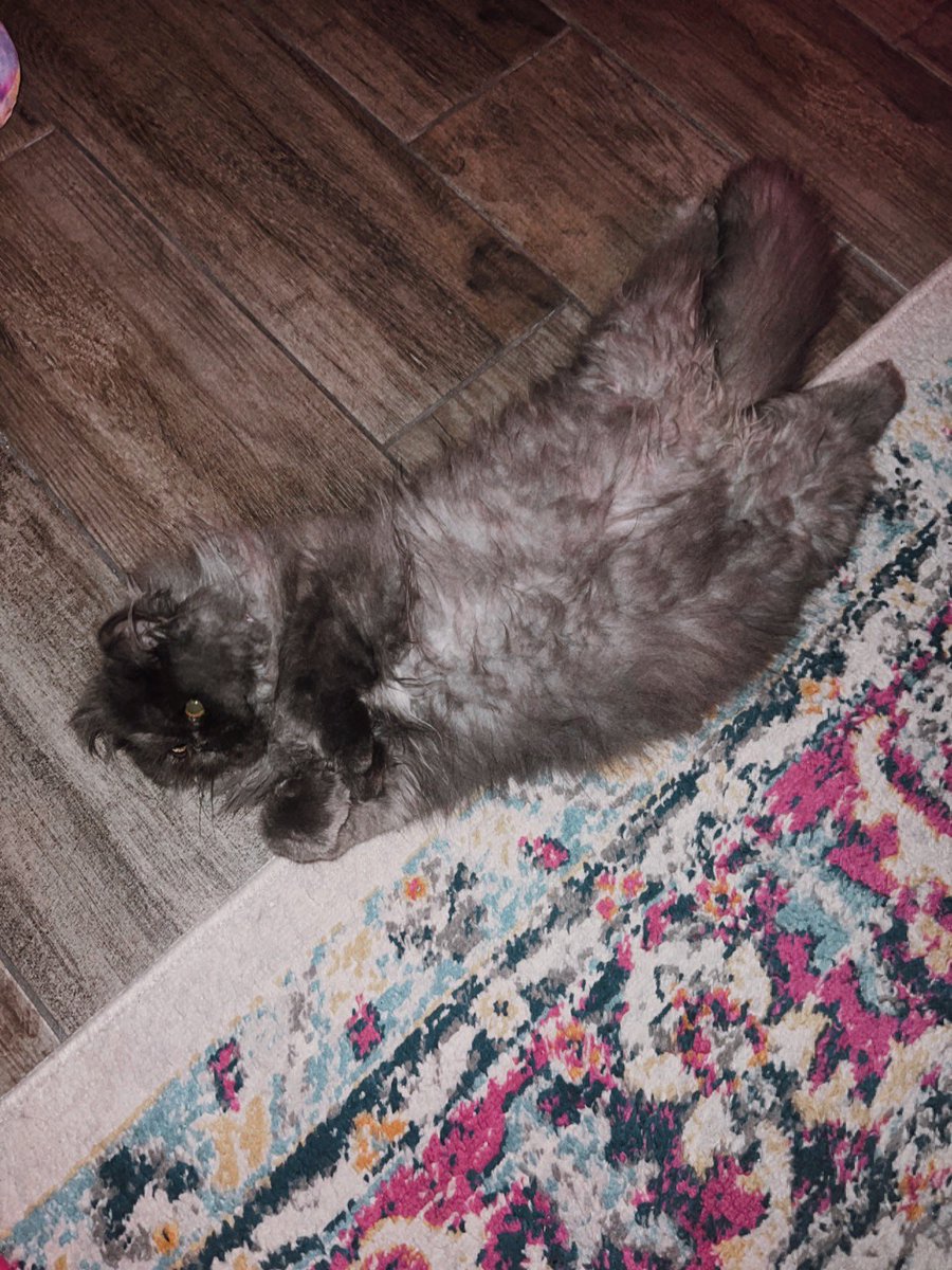 sadgirlhour404's tweet photo. more misty content 🤨 https://t.co/AOMMvVY3qv