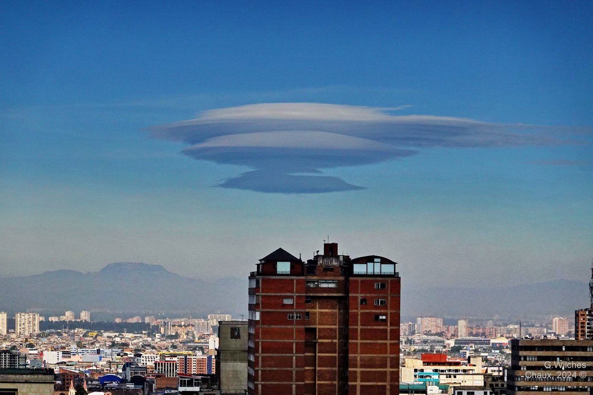 wilcheschaux tweet media