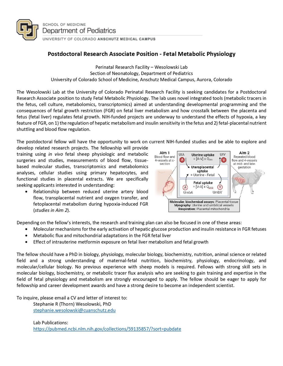 Postdoctoral position available - The Wesolowski Lab at the University of Colorado Perinatal Research Facility is seeking candidates for a Postdoctoral Research Associate position to study Fetal Metabolic Physiology. For more information, please see: