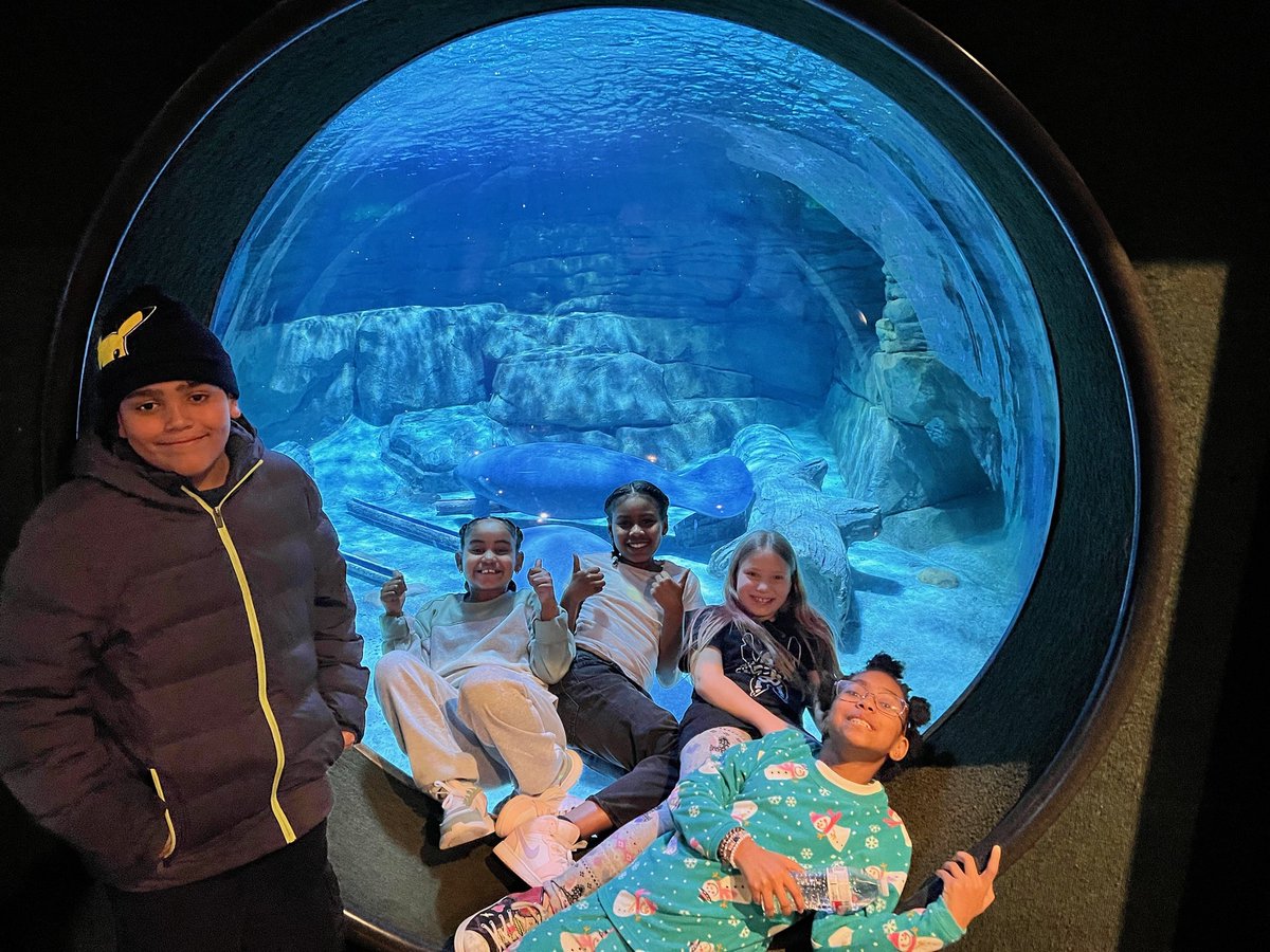 Middletown City Schools tweet media