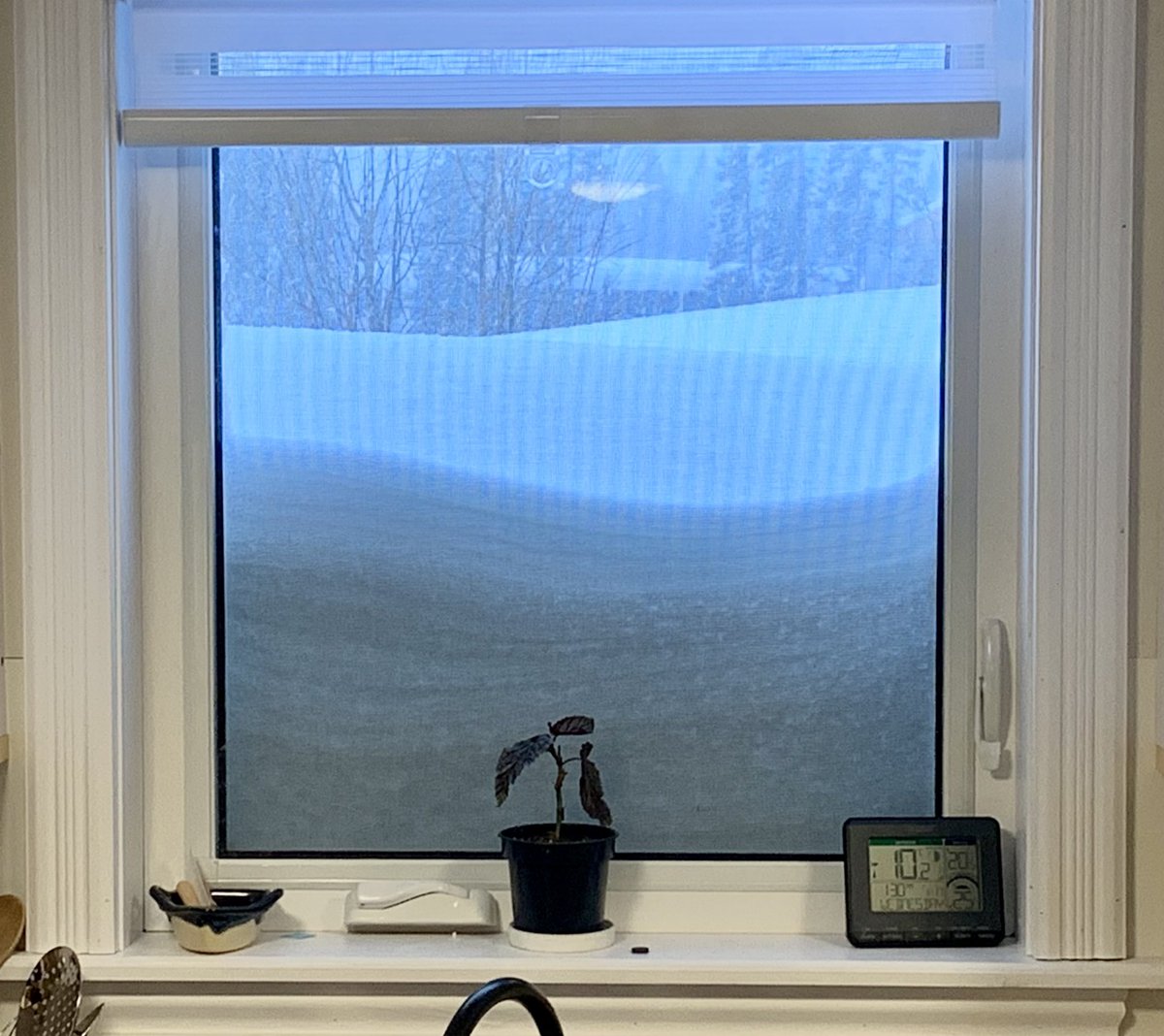 Lake Melville School tweet media