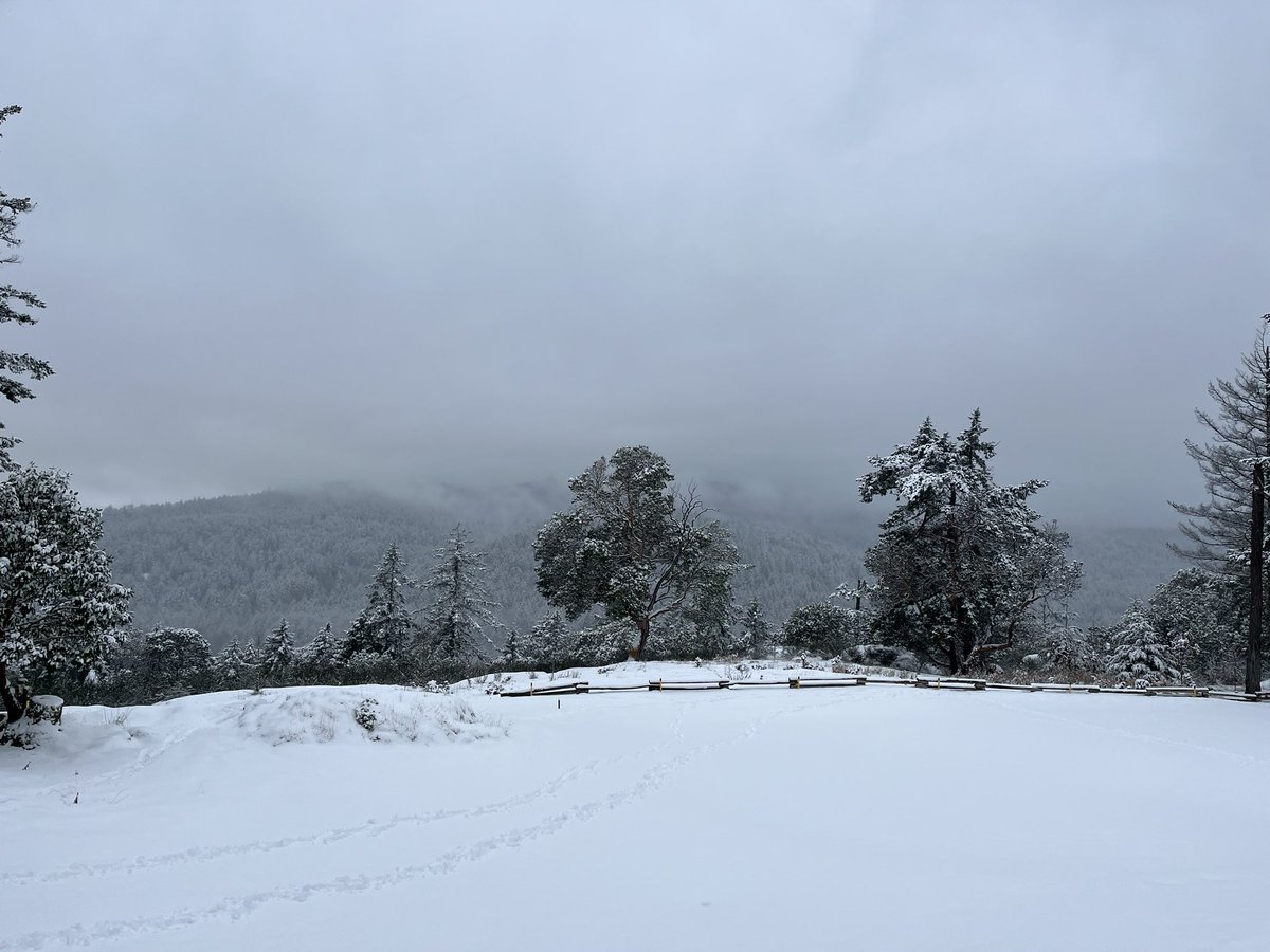 Bill Quin tweet media