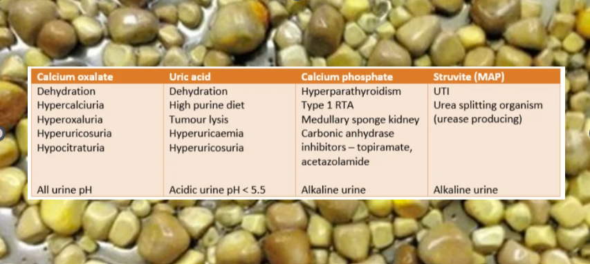 💎💎Renal stone analysis should prompt an immediate thought about what can be done to prevent future stones. 

e.g.:
struvite stone = UTIs
calcium phosphate stone = ?could this be renal tubular acidosis
uric acid stone = acidic urine, ?hyperuricemia 

theurologyguy.com/stone/