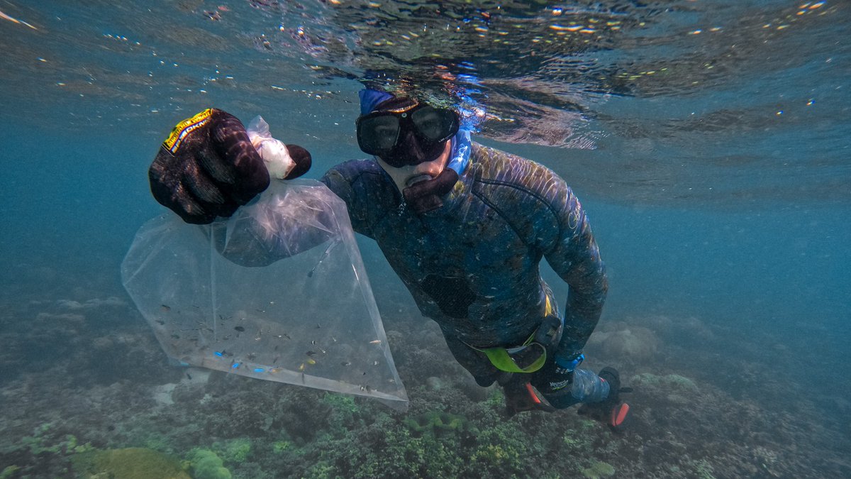 Australian Institute of Marine Science tweet media