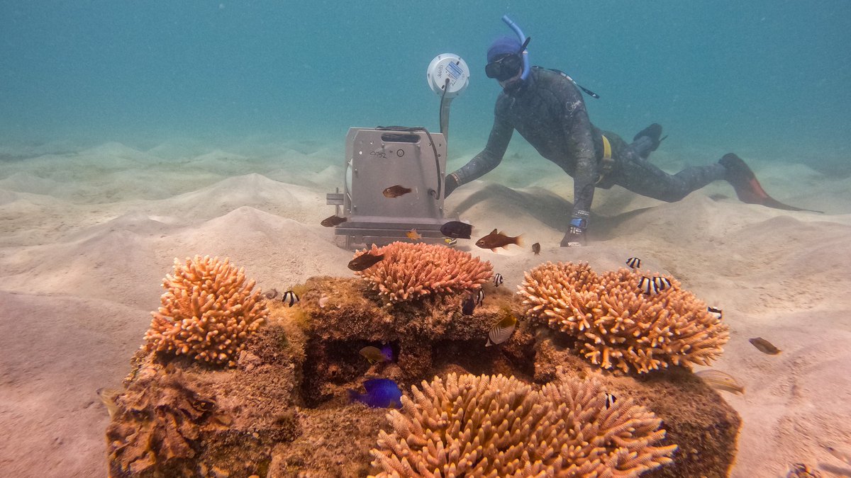 Australian Institute of Marine Science tweet media