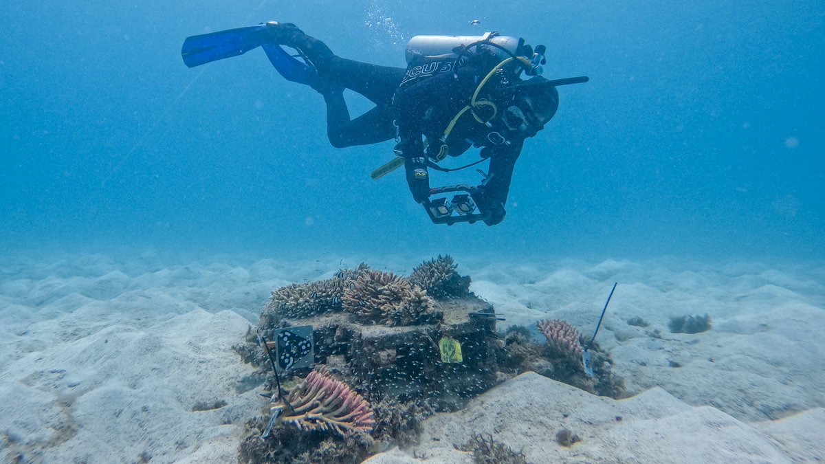 Australian Institute of Marine Science tweet media