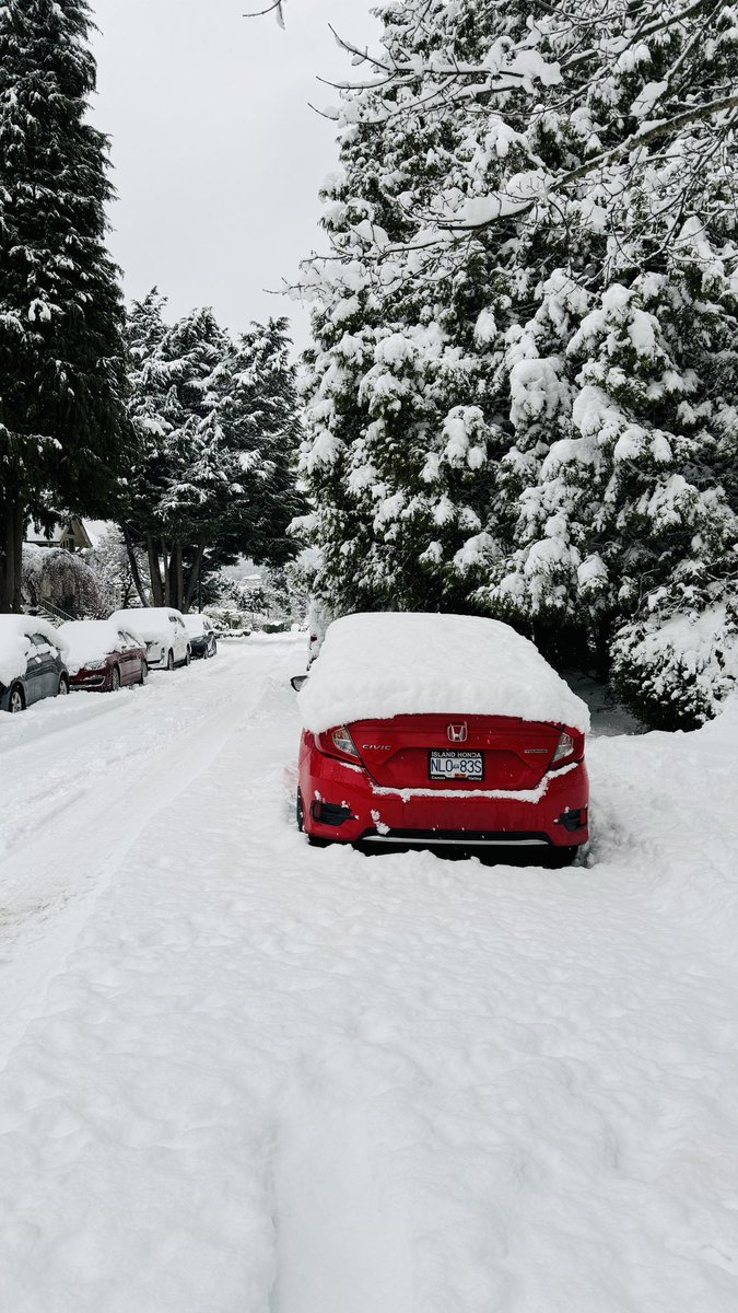 AnaIsabelZepeda's tweet photo. Más de 30cm de nieve ❄️🌨️ https://t.co/j722YKpfaG